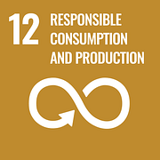 UN Goals Icon 12 - Responsible consumption