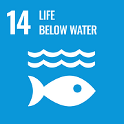 UN Goals Icon 14 - Life below water